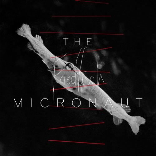 The Micronaut - Friedfisch LP [ACKERCD003]